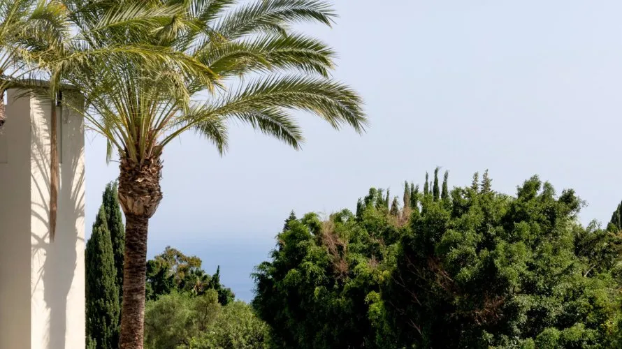 Apartamento de 3 dormitorios en Marbella, Spain No. 345 № 9