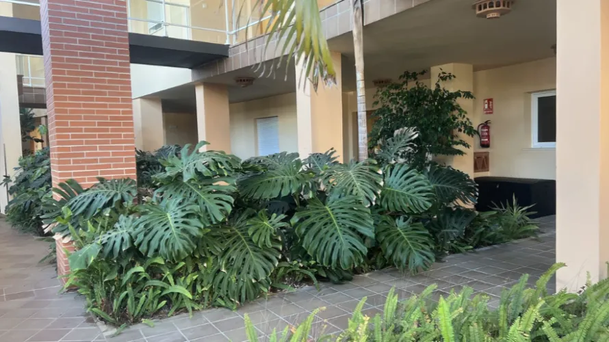 Apartamento de 2 dormitorios en La Cala De Mijas, Spain No. 760 № 20