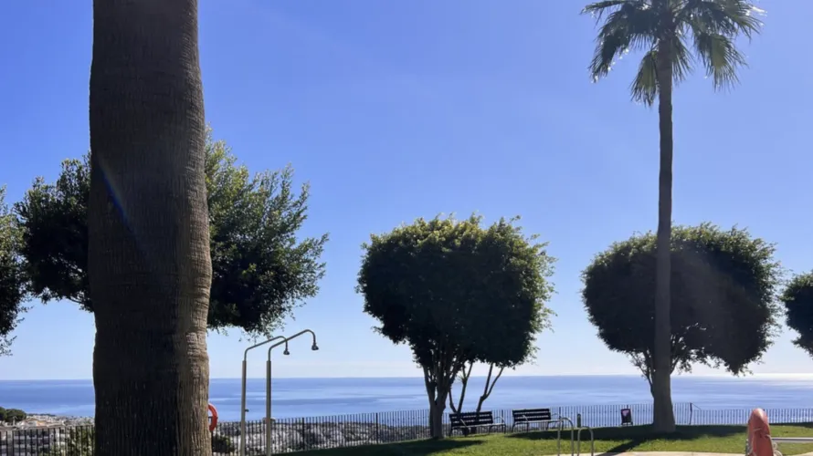 Apartamento de 2 dormitorios en Mijas Costa, Spain No. 629 № 11