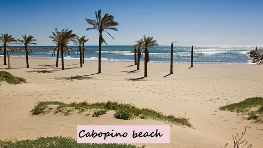 Ático de 2 dormitorios en Marbella, Spain No. 429 № 17