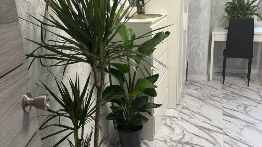 Apartamento de 1 dormitorio en Mislata, Spain No. 1719