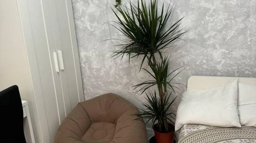 Apartamento de 1 dormitorio en Mislata, Spain No. 1719 № 8