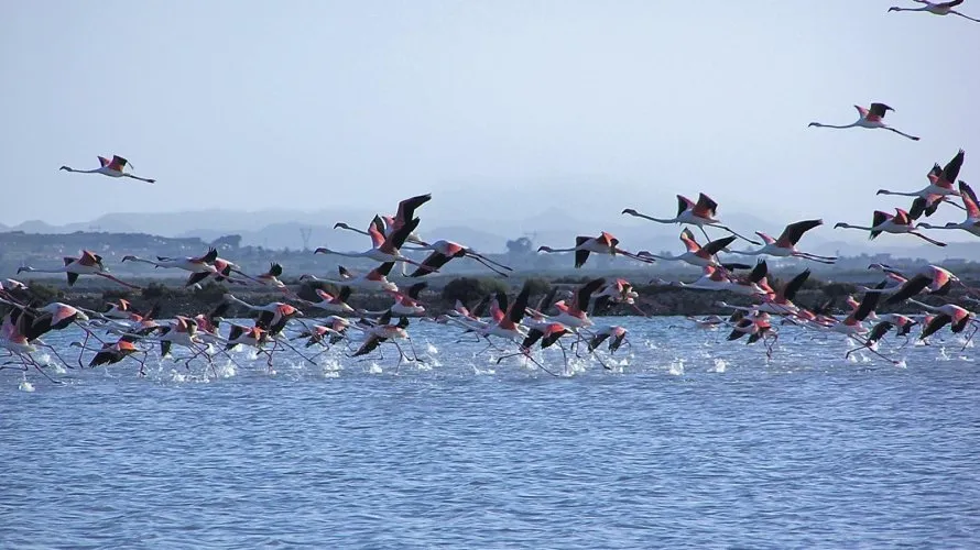 Apartamento de 3 dormitorios en Gran Alacant, Spain No. 1547 № 6