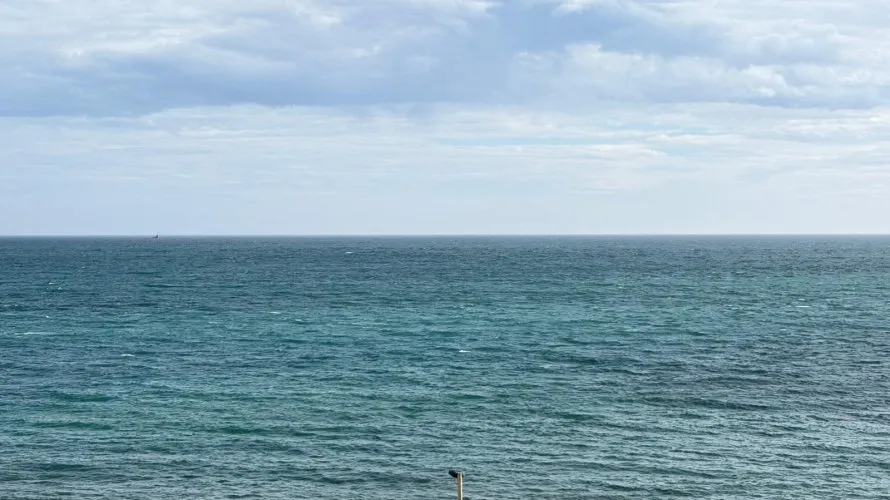 Apartamento de 3 dormitorios en Torrevieja, Spain No. 1580 № 8