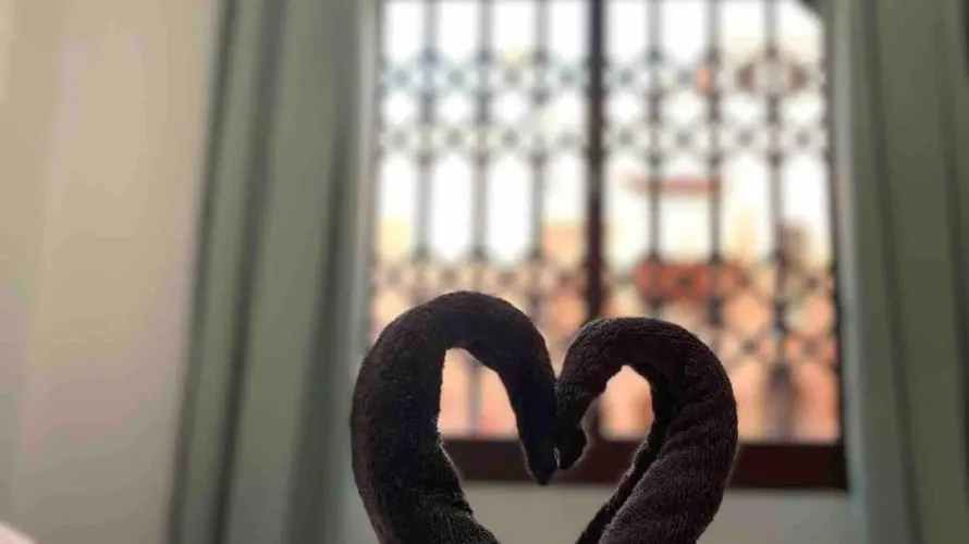 Apartamento de 2 dormitorios en Torrevieja, Spain No. 1563 № 11