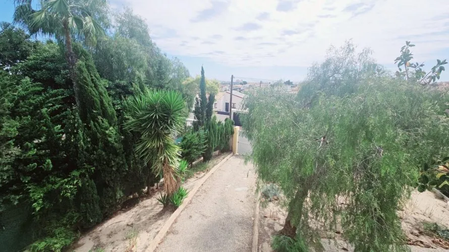 Apartamento de 4 dormitorios en Torrevieja, España No. 1699 № 3