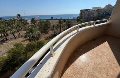 Apartamento de 1 dormitorio en Torrevieja, España No. 1143