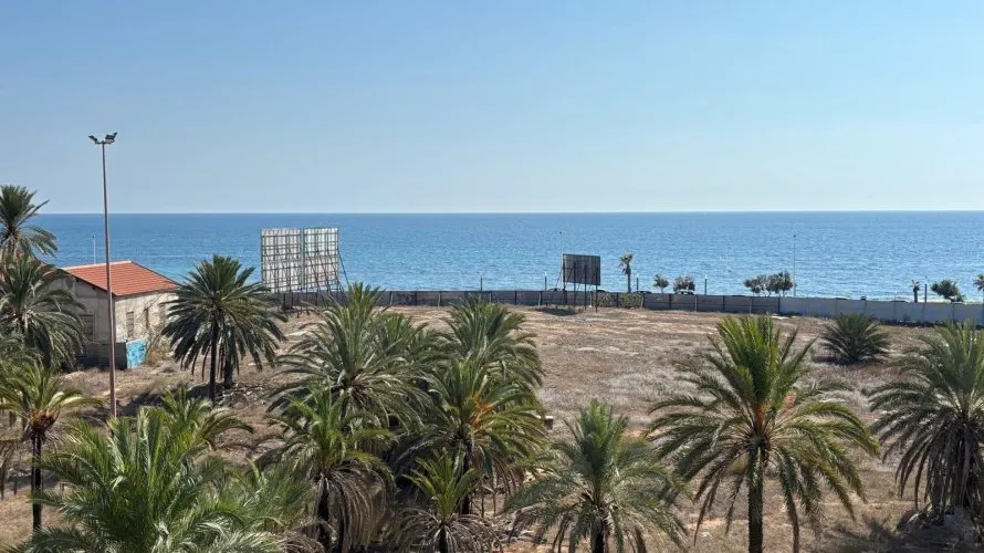 Apartamento de 1 dormitorio en Torrevieja, España No. 1143 № 22