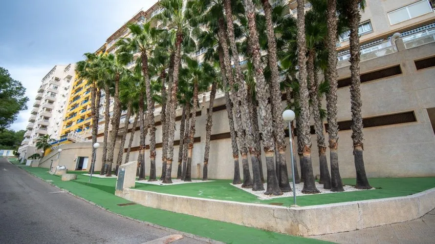 Ático de 2 dormitorios en Dehesa De Campoamor, España No. 1676 № 28