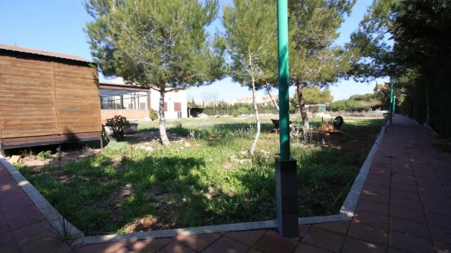 Apartamento de 2 dormitorios en Campoamor, España No. 1171 № 21