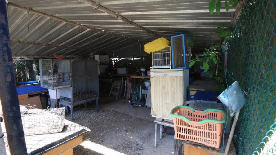 Apartamento de 2 dormitorios en Campoamor, España No. 1171 № 16