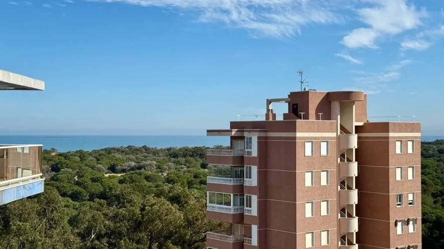 Apartamento de 3 dormitorios en Guardamar del Segura, España No. 1618 № 15