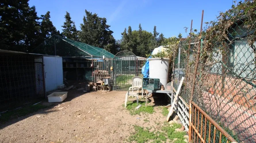Apartamento de 2 dormitorios en Campoamor, España No. 1171 № 9