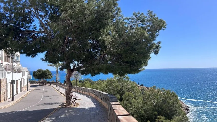 Apartamento de 1 dormitorio en Benidorm, España No. 1741 № 10