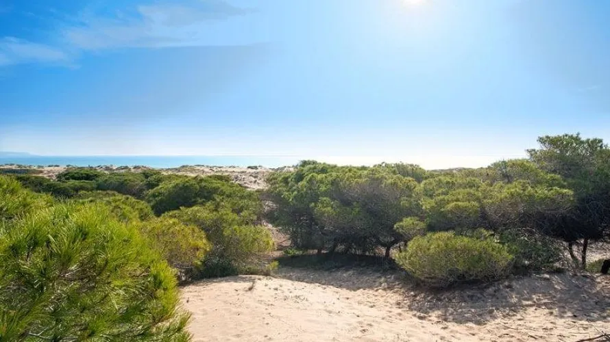 Apartamento de 3 dormitorios en La Marina, España No. 1795 № 3