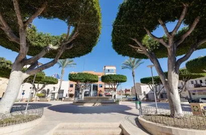 Apartamento de 1 dormitorio en San Fulgencio, España No. 2320