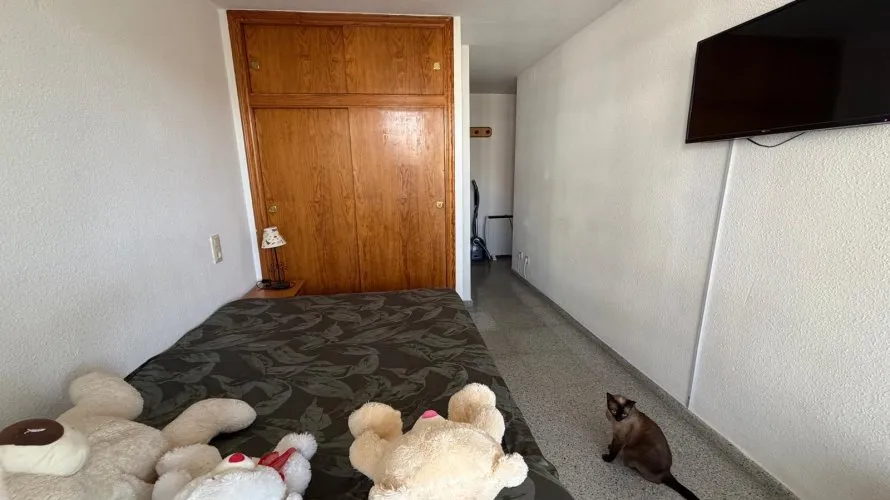 Apartamento de 3 dormitorios en Guardamar del Segura, España No. 2572 № 11