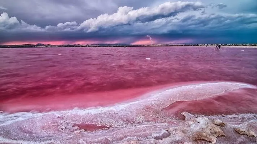 Apartamento de 1 dormitorio en Torrevieja, España No. 2529 № 2