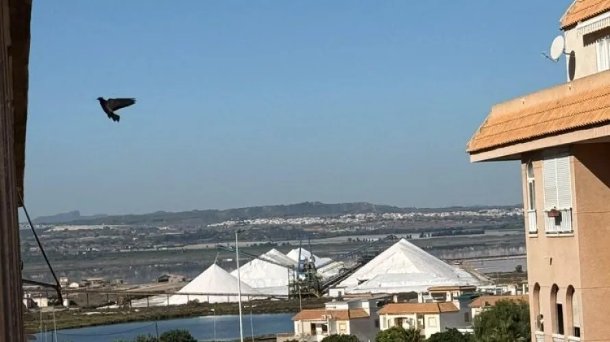 Apartamento de 2 dormitorios en Torrevieja, España No. 2703