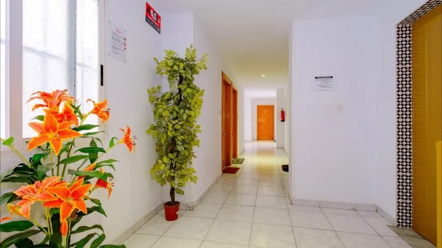 Apartamento de 1 dormitorio en Torrevieja, España No. 2818 № 7