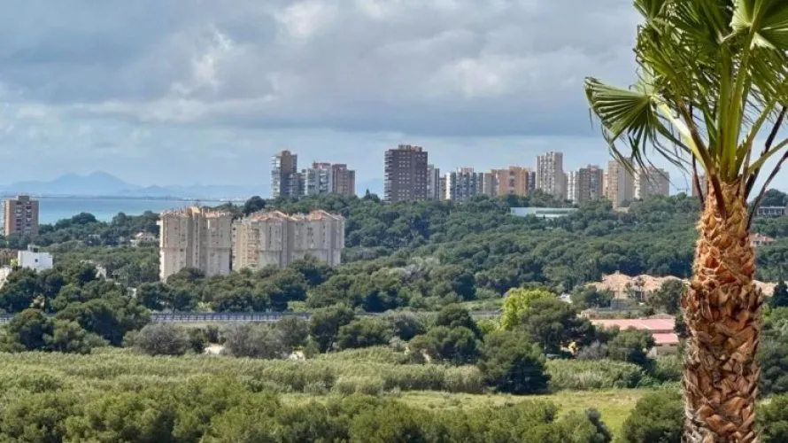 Dúplex de 3 dormitorios en La Zenia, España No. 2791 № 3