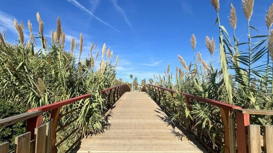 Penthouse de 2 chambres à Estepona, Spain No. 556