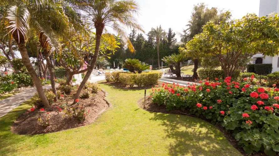 Apartment de 3 chambres à Marbella, Spain No. 232 № 24