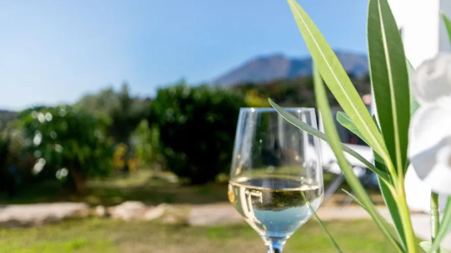 Apartment de 4 chambres à Estepona, Spain No. 302 № 5