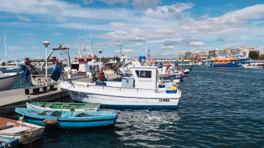 Apartment de 3 chambres à Gran Alacant, Spain No. 1547 № 10