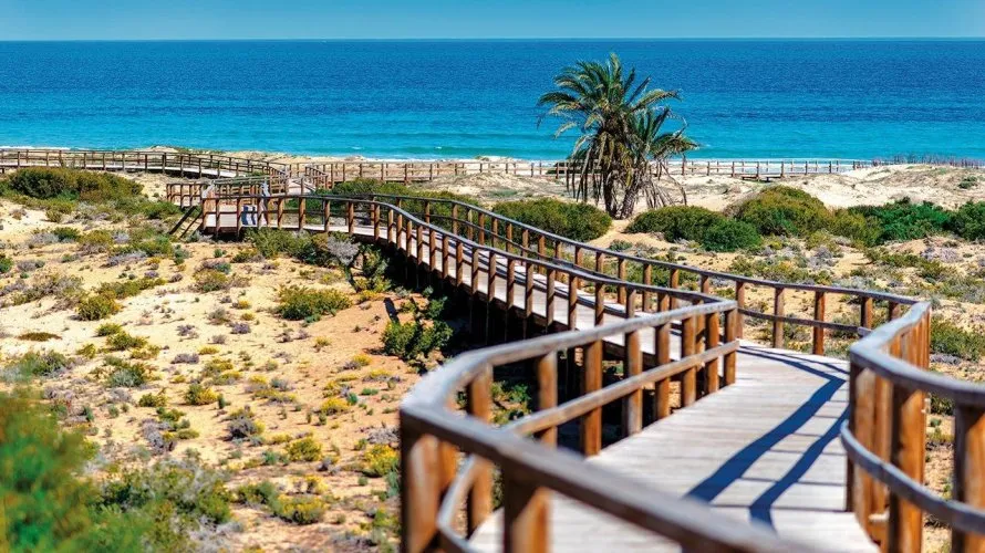 Apartment de 2 chambres à Monforte del Cid, Spain No. 1546 № 5