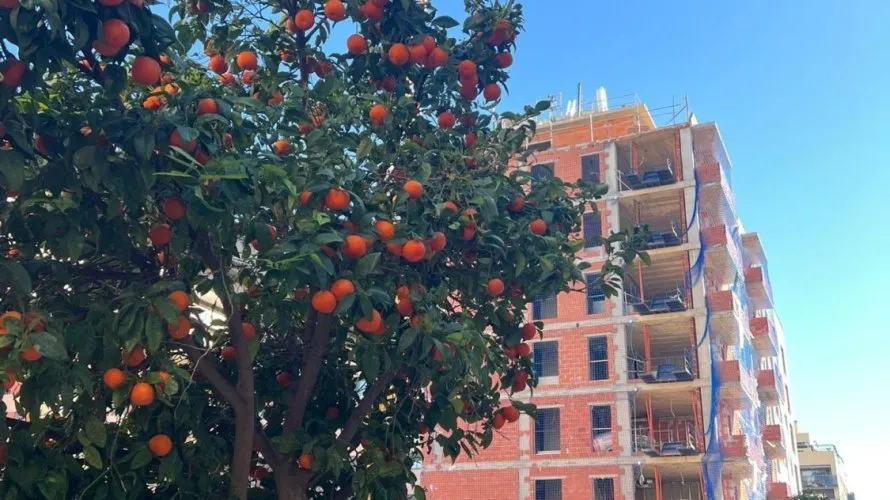 Apartment de 1 chambre à Valencia, Espagne No. 1100 № 10