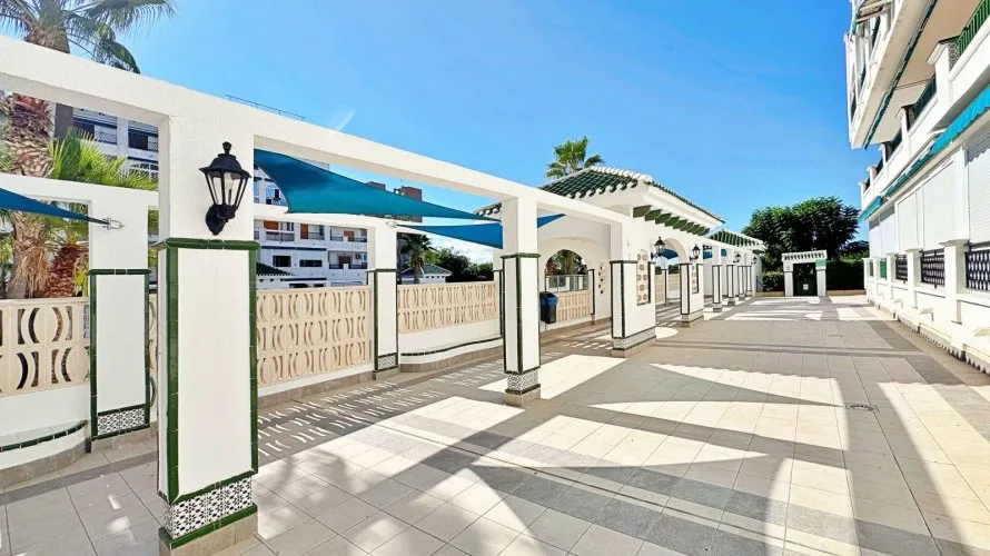 Apartment de 1 chambre à Torrevieja, Espagne No. 1629 № 10