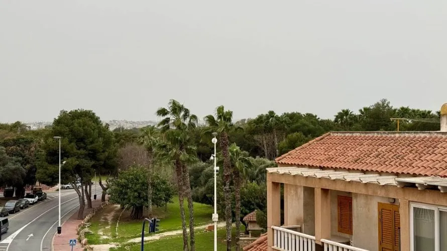 Apartment de 2 chambres à Torrevieja, Espagne No. 1623 № 12