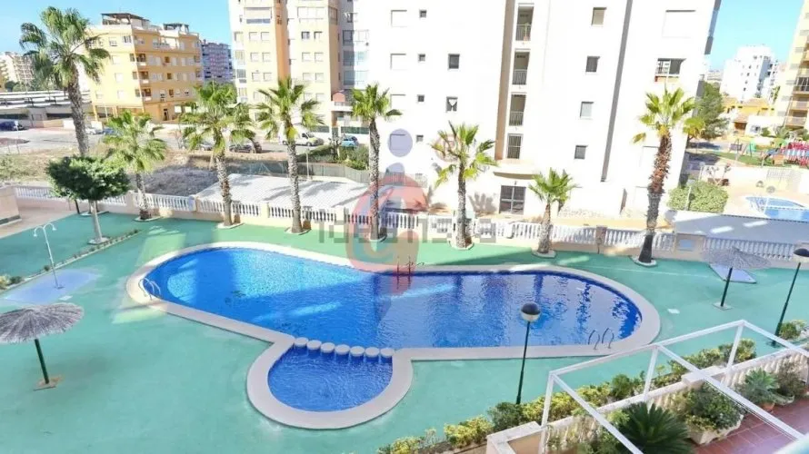Penthouse de 4 chambres à Guardamar del Segura, Espagne No. 1697 № 4