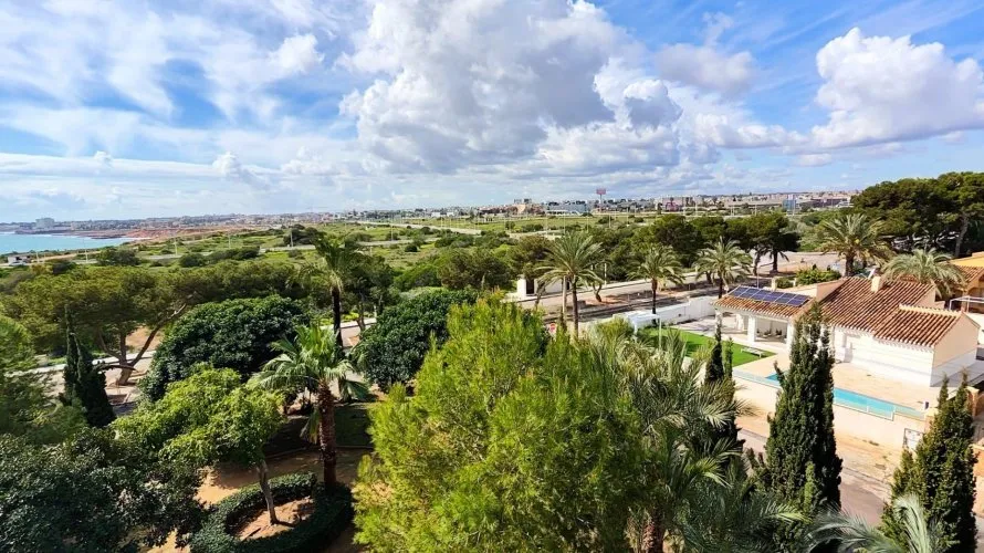 Apartment de 2 chambres à Torrevieja, Espagne No. 1638 № 3