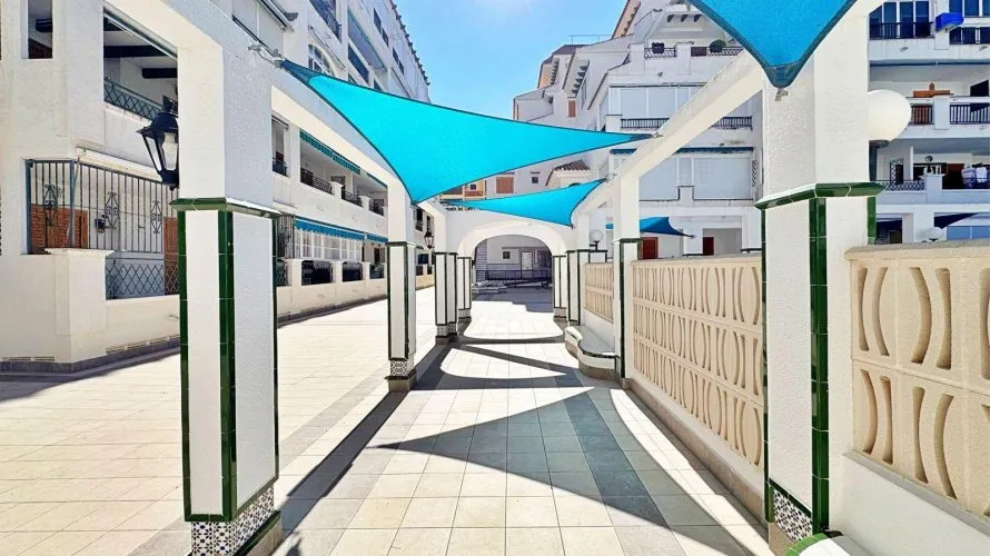 Apartment de 1 chambre à Torrevieja, Espagne No. 1629 № 13