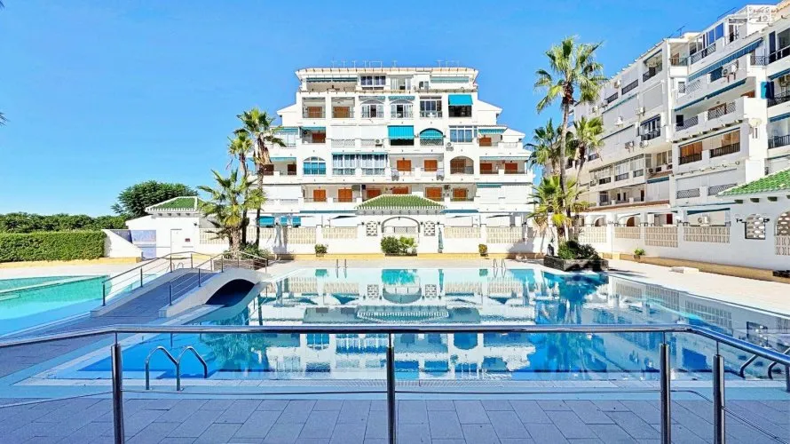 Apartment de 1 chambre à Torrevieja, Espagne No. 1629 № 15