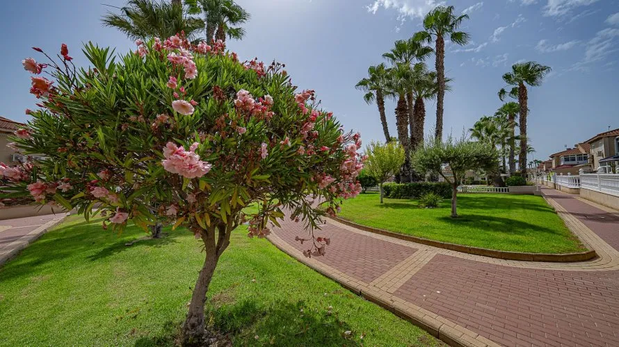 Apartment de 62m² à Alicante, Espagne No. 1673 № 28