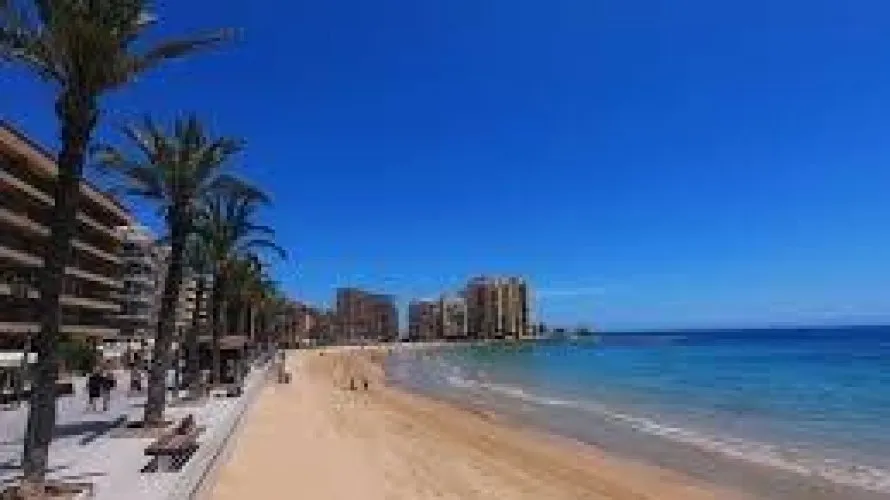 Apartment de 3 chambres à Torrevieja, Espagne No. 2198 № 1
