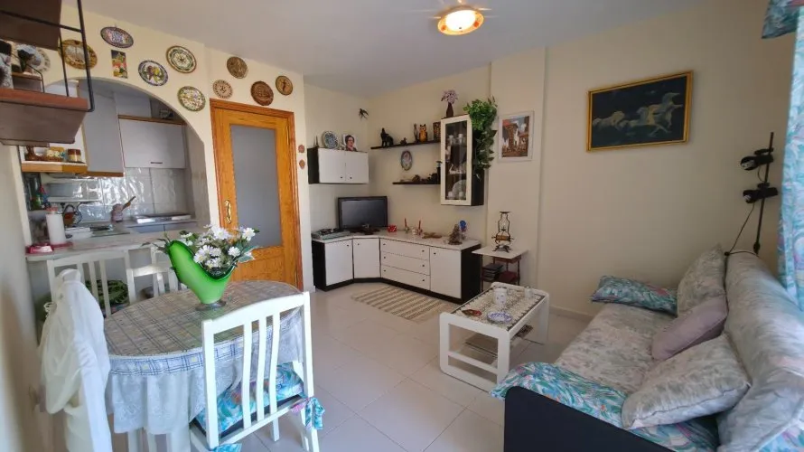 Apartment de 1 chambre à Torrevieja, Espagne No. 2371 № 17