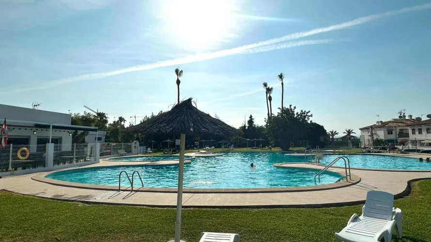 Apartment de 1 chambre à Torrevieja, Espagne No. 2372 № 4