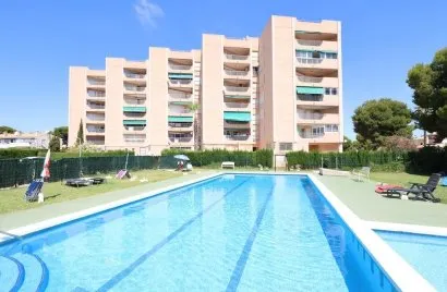 Apartment de 3 chambres à La Zenia, Espagne No. 2056