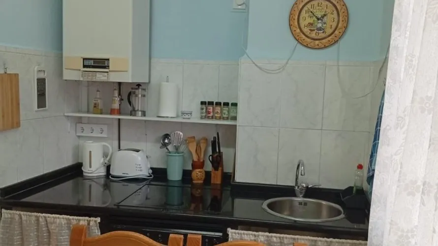 Apartment de 1 chambre à Mieres, Espagne No. 2342 № 10