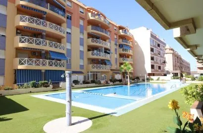 Apartment de 3 chambres à Torrevieja, Espagne No. 2136