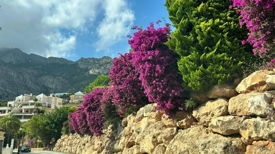 Apartment de 3 chambres à Zona Altea Hills, Espagne No. 2088 № 5