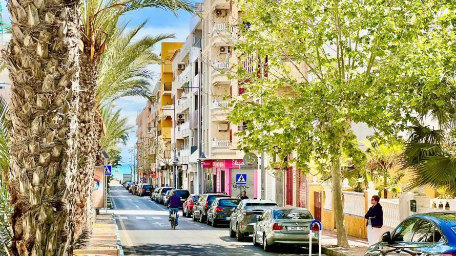 Apartment de 2 chambres à Torrevieja, Espagne No. 2303 № 28