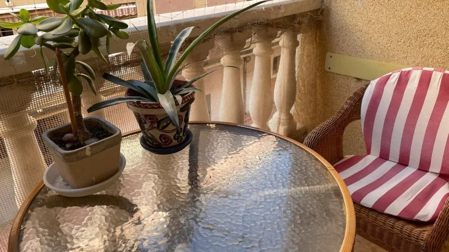 Apartment de 2 chambres à Torrevieja, Espagne No. 2212 № 21