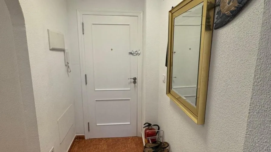 Apartment de 3 chambres à Torrevieja, Espagne No. 2032 № 10