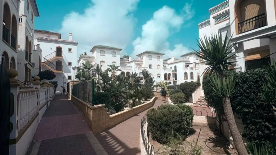 Apartment de 1 chambre à Torrevieja, Espagne No. 2515 № 17