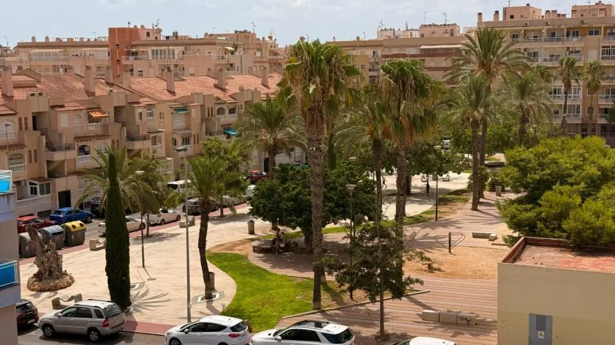 Apartment de 1 chambre à Torrevieja, Espagne No. 2498 № 18
